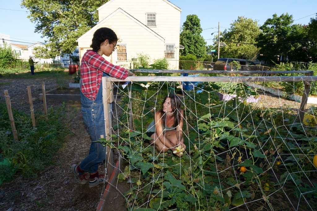 Ways to combat food insecurity