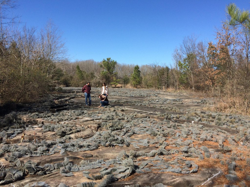 Mississippi River Basin ioby