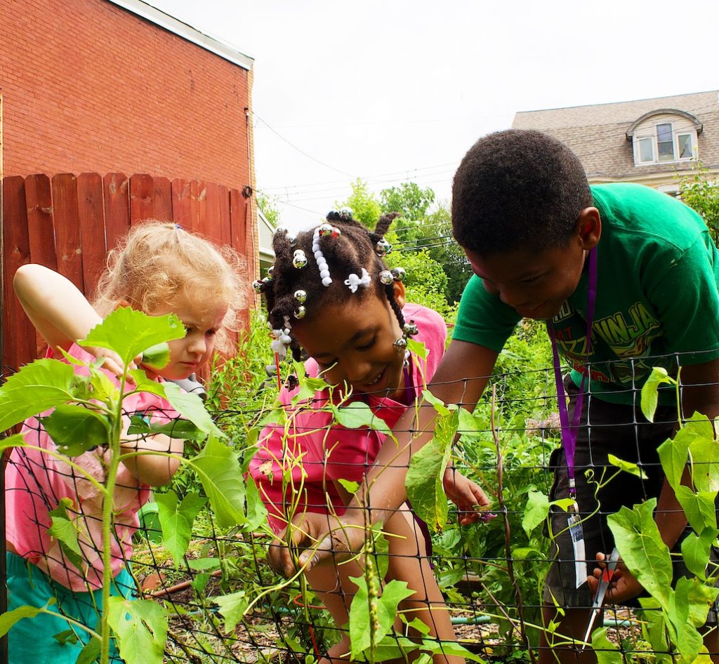 Community Gardens